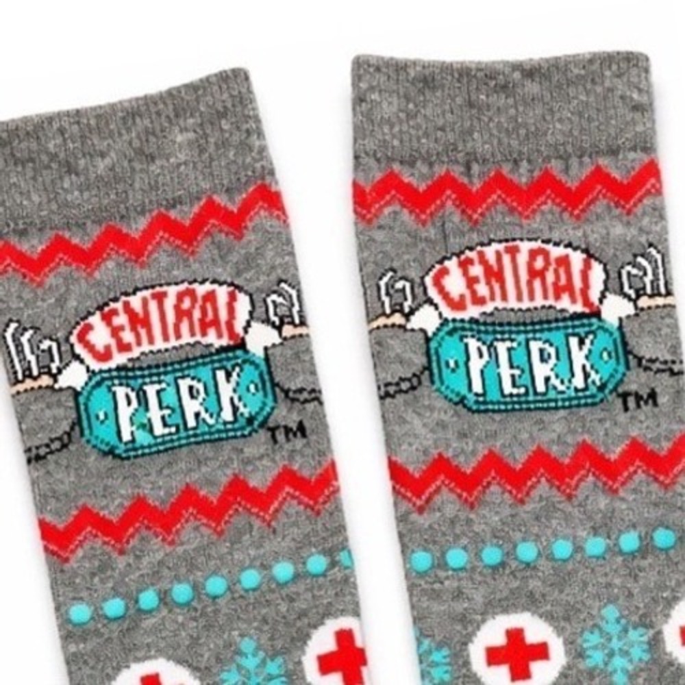 FRIENDS American Red Cross Donor Socks BioWorld Turkey Ross & Rachel NEW